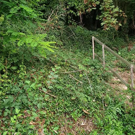 A Flanc De Colline Nyaraló *